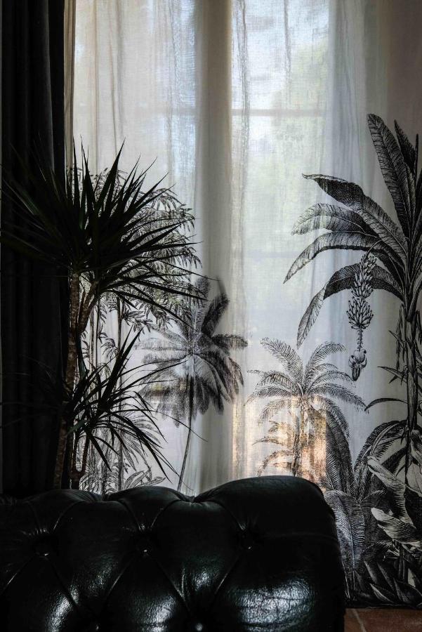 Villa Des Antiquaires Bédarieux Esterno foto